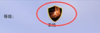 会员中心添加会员等级图标，并在前端显示。